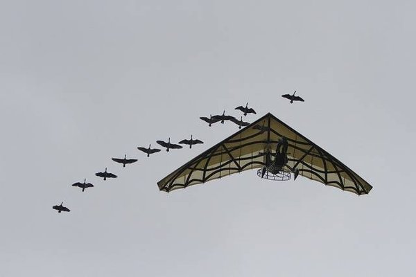 Quels sont les services proposés par les campings proches du Puy du Fou?