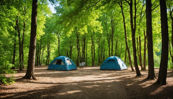 Balades nature vaucluse pour profiter pleinement du coin - camping les fontaines